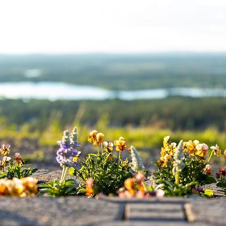 Holiday In Lapland - Levi Postintie 3B 322 Bagian luar foto